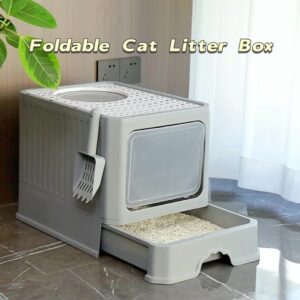 Innovative Dual-Access Cat Litter Box