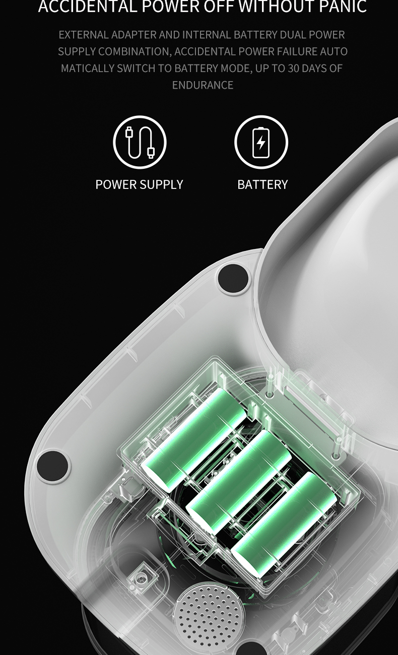Smart Automatic Pet Feeder