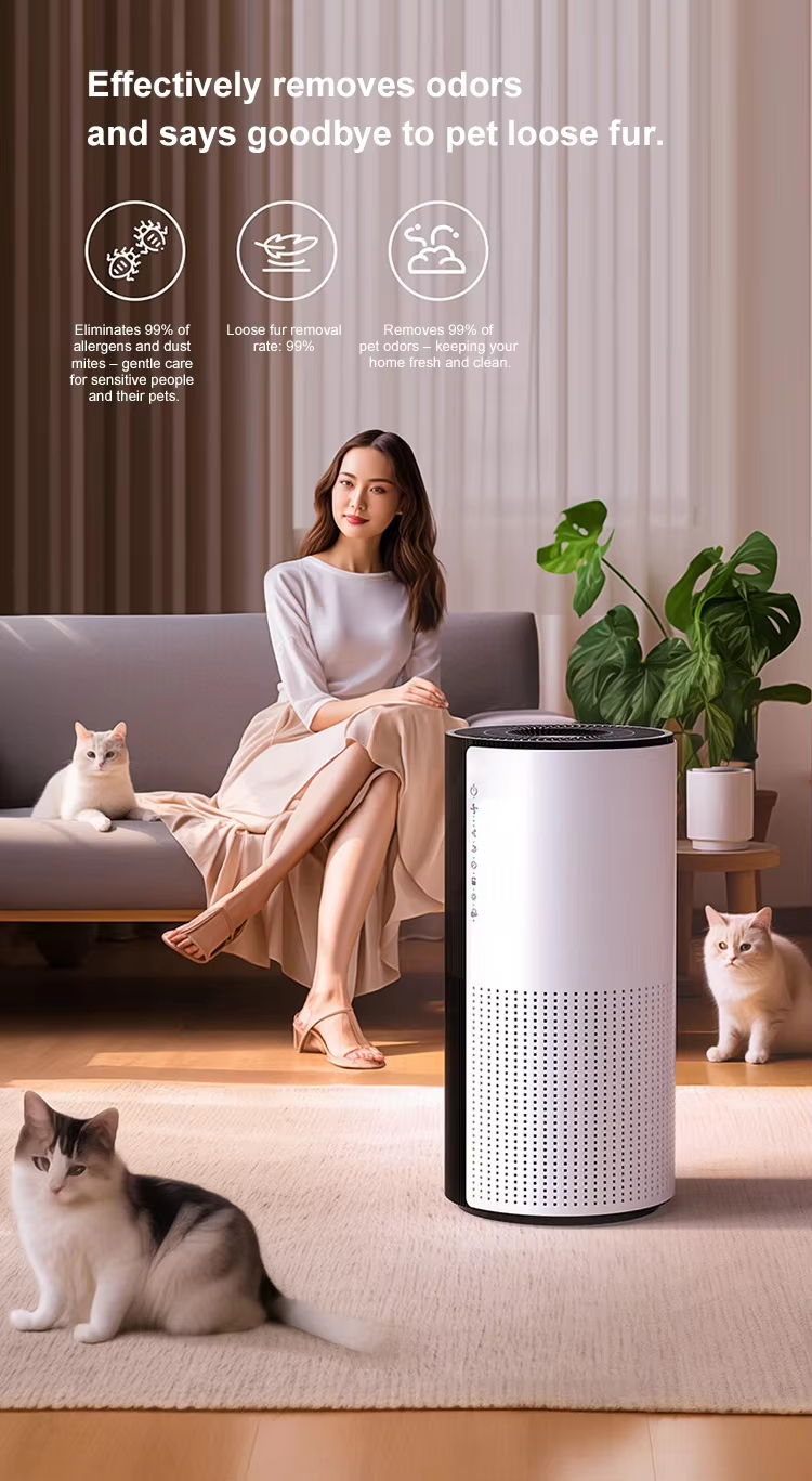 Home Air Purifier, Bedroom Air Purifier, Efficient Pet Odor Removal, Improve Indoor Air Quality, Low Power Consumption Air Purifier, Pet Hair Collector, Pet Allergen Removal, Sleep-Level Quiet Air Purifier, OEM/ODM Air Purifier, Home Formaldehyde Remover, Zhejiang Air Purifier, Office Air Purifier, Air Purifier with Timer, CE Certified Air Purifier