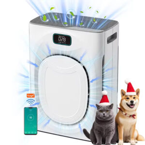 Home Air Purifier: 290m³/h CADR