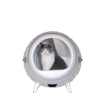 Automatic Cat Litter Box, Intelligent Cat Litter Box, Self-Cleaning Litter Box, Large Capacity Litter Box, Open Design Litter Box, Cat Health Management, Round Cat Litter Box, APP Control Litter Box, Low Power Litter Box, Pet Cleaning, Cat Toilet