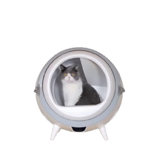 Automatic Cat Litter Box, Intelligent Cat Litter Box, Self-Cleaning Litter Box, Large Capacity Litter Box, Open Design Litter Box, Cat Health Management, Round Cat Litter Box, APP Control Litter Box, Low Power Litter Box, Pet Cleaning, Cat Toilet