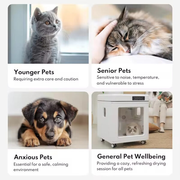 Smart Pet Dryer Box, Foldable Pet Dryer, 430L Pet Dryer, 2800W Pet Dryer, Brushless Motor Pet Dryer, Double Door Pet Dryer, Ozone Sterilization Dryer, Negative Ion Hair Care Dryer, Pet Grooming Dryer, Cat Dog Dryer, Appearance Design Patent