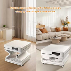 100L-Smart Pet Dryer