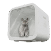 Smart Pet Dryer Box - Dual Fan