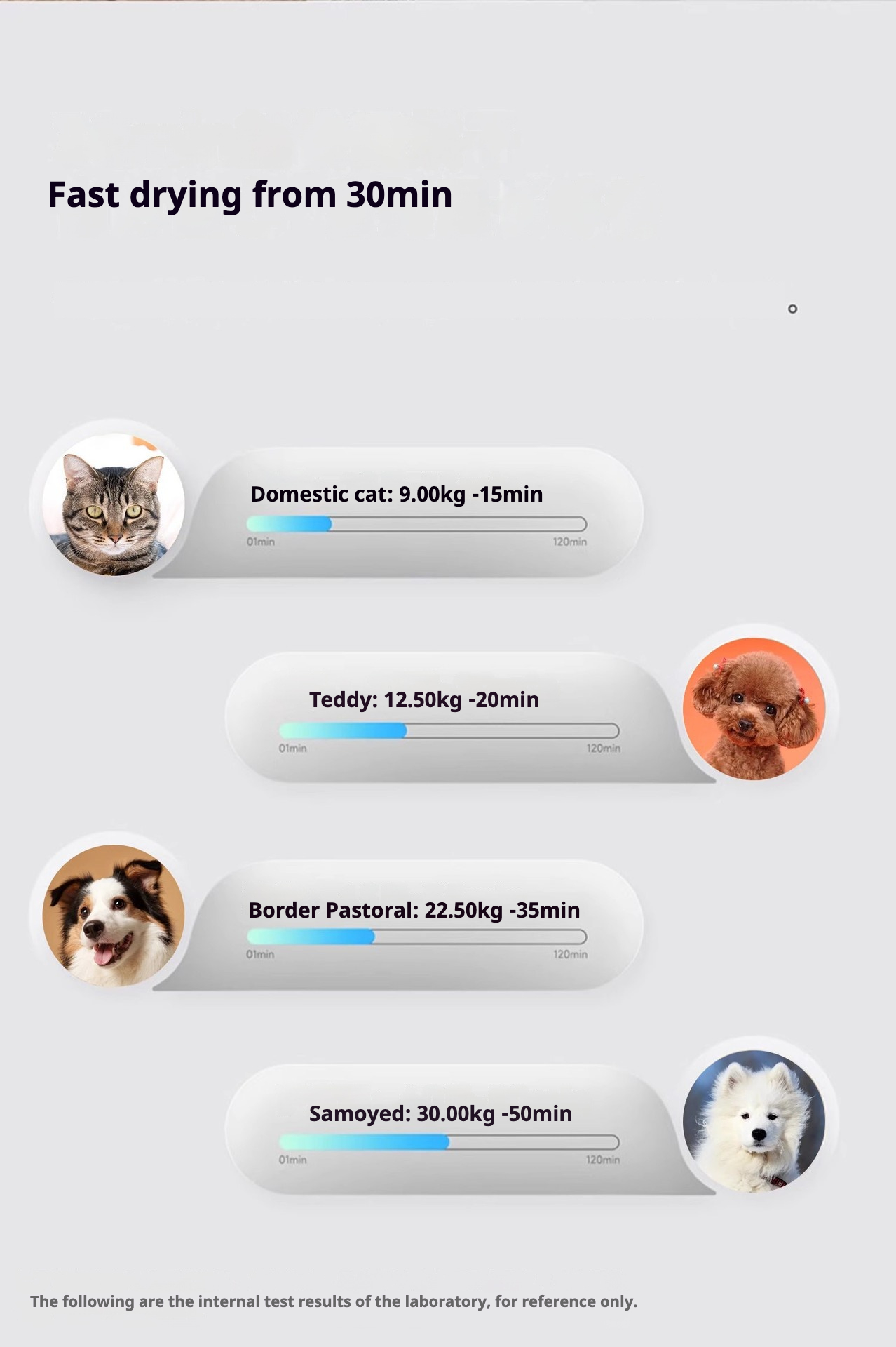 Must-Have for Pet Owners, Pet Hair Care, Healthy Drying, DC Variable Frequency Turbine Fan, Wavy Wire Heating, Home Pet Disinfection Cabinet, Prevent Pet Hair Flying, 24V Pet Dryer, Fast Drying Cat Dog Dryer, Foshan Pet Products