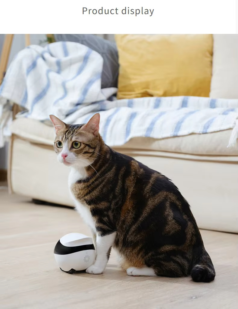 Interactive Pet Robot, Mobile Pet Camera, Smart Cat Toy, Robotic Pet Companion, WiFi Pet Monitor, Remote Control Pet Toy, Cat Camera