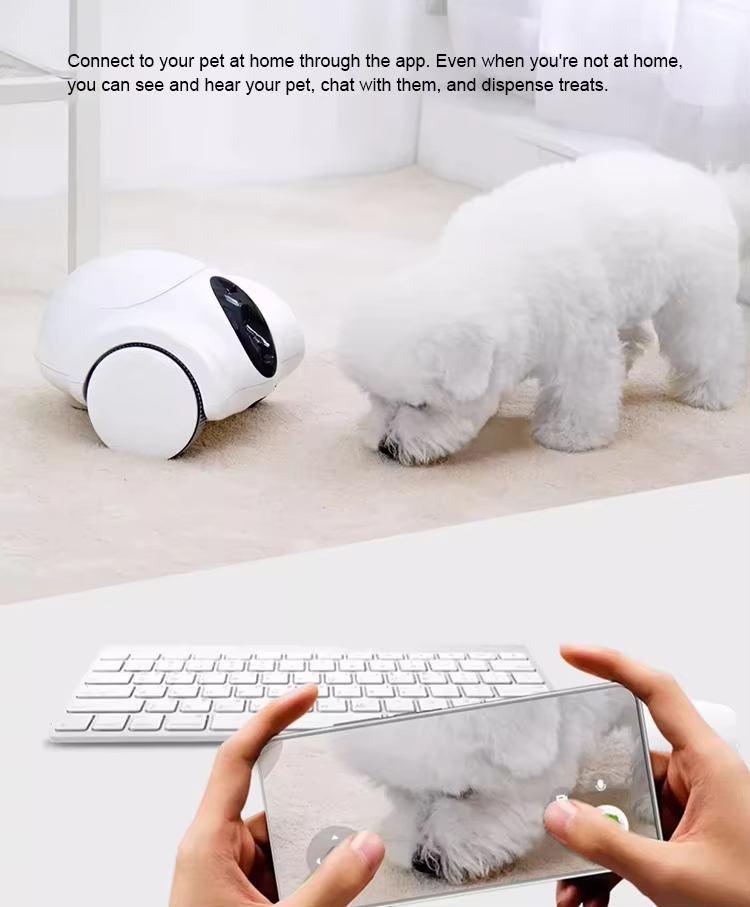 Pet Companion Robot, Mobile Pet Camera, Interactive Dog Toy, Remote Control Pet Robot, Pet Camera with Laser and Treats, WiFi Pet Monitor, Smart Cat Toy