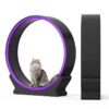100cm Diameter Cat Wheel, Trackable Exercise Data Cat Wheel, Wear-Resistant Track Pad, Quiet Cat Wheel Treadmill, Metal Base Cat Wheel, Eco-Friendly Cat Wheel, Pet Obesity Solution, Zhejiang Cat Wheel Wholesale, Customizable Cat Wheel Treadmill