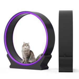 100cm Diameter Cat Wheel, Trackable Exercise Data Cat Wheel, Wear-Resistant Track Pad, Quiet Cat Wheel Treadmill, Metal Base Cat Wheel, Eco-Friendly Cat Wheel, Pet Obesity Solution, Zhejiang Cat Wheel Wholesale, Customizable Cat Wheel Treadmill