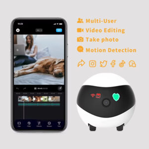 Interactive Pet Robot, Mobile Pet Camera, Smart Cat Toy, Robotic Pet Companion, WiFi Pet Monitor, Remote Control Pet Toy, Cat Camera