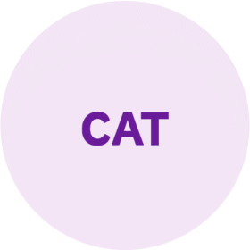 Cat supplies