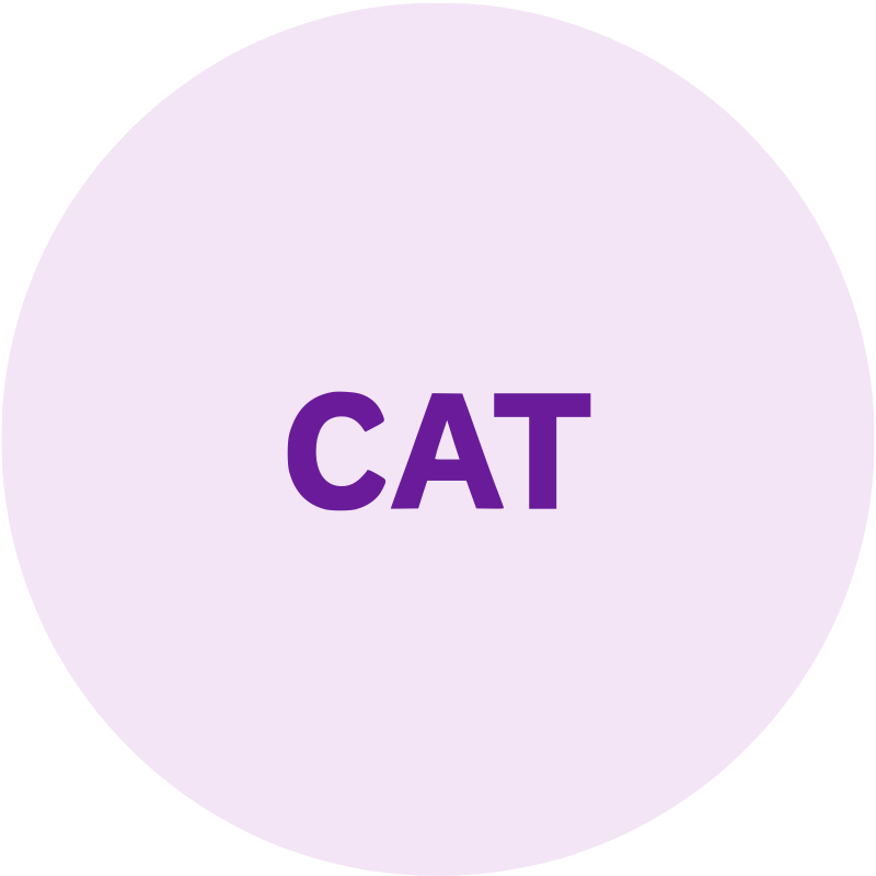 Cat supplies