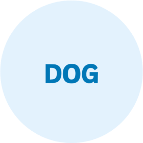 Dog supplies