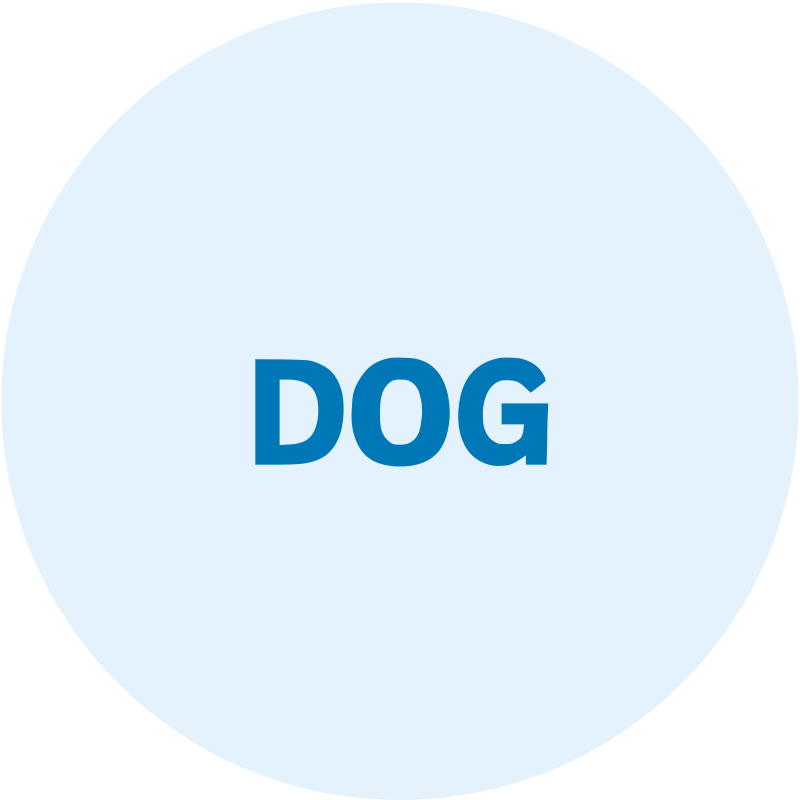 Dog supplies