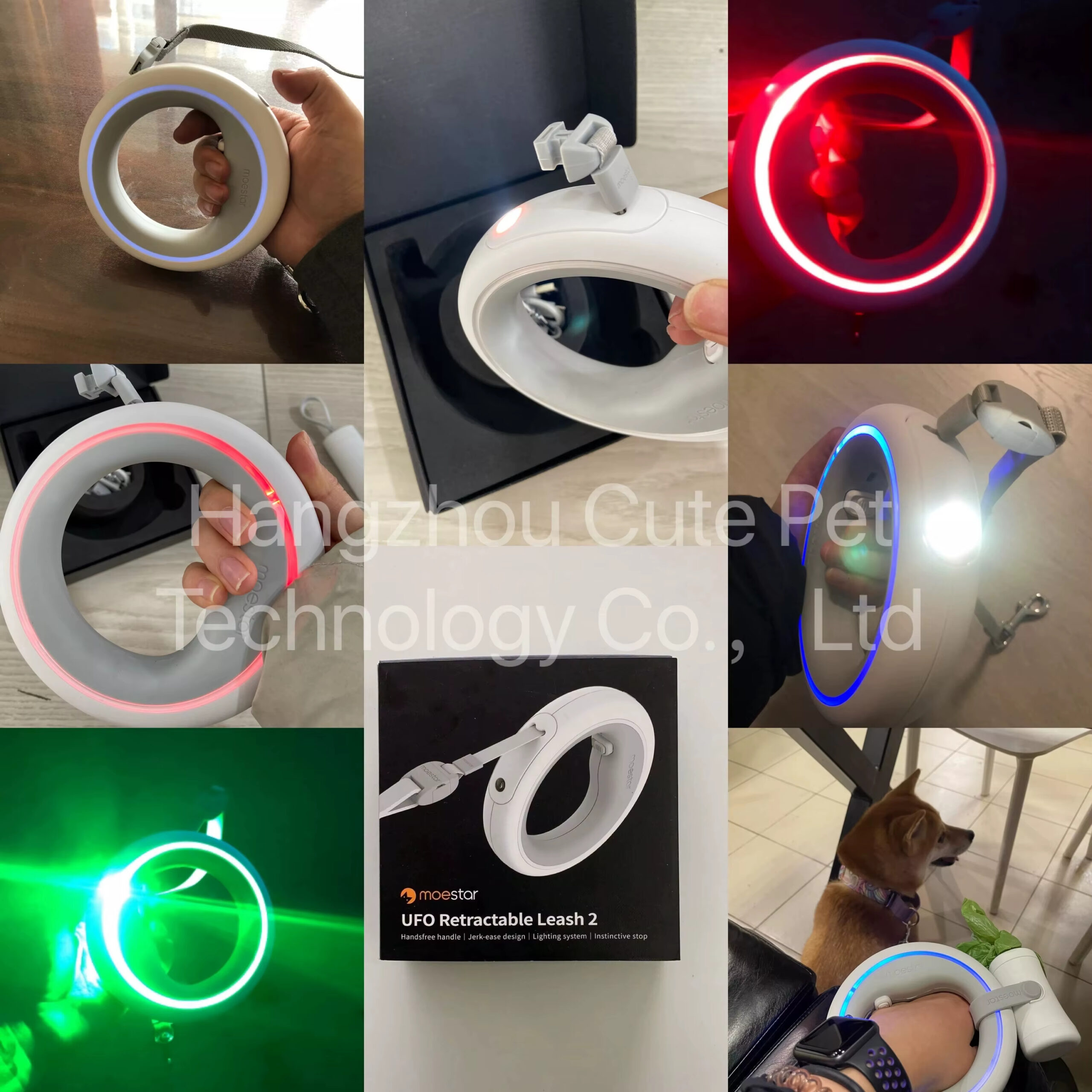 LED Luminous Dog Leash, Moestar V 2.0 Dog Leash, Night Safety Dog Leash, Super Elastic Leash, Ring Handle Dog Leash, Dog Leash, Tangle-Free Dog Leash, Pet Leash, Dog Training Leash, Automatic Retractable Leash