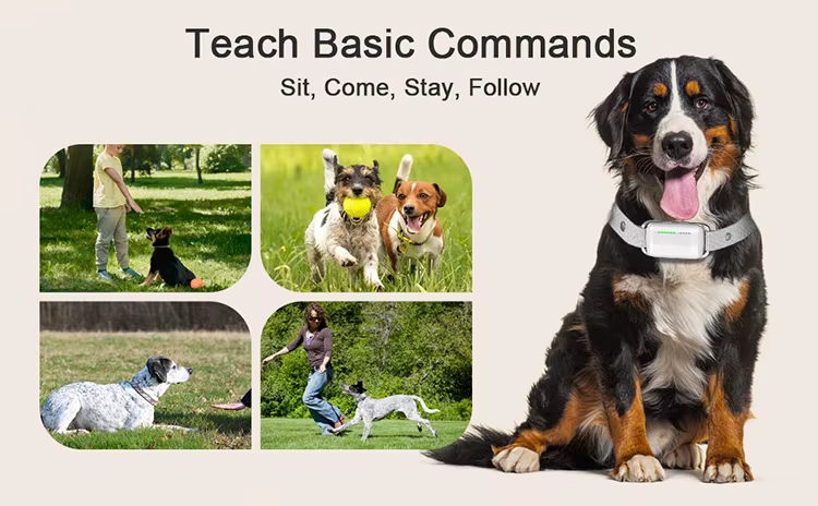 Remote Dog Collar, IP67 Waterproof Collar, Dog Training Shock Collar, Vibration Dog Collar, E-Collar for Dogs, Recordable Dog Collar, Night Safety Collar, Pet Behavior Corrector, Dog Training Tool, Pet Training