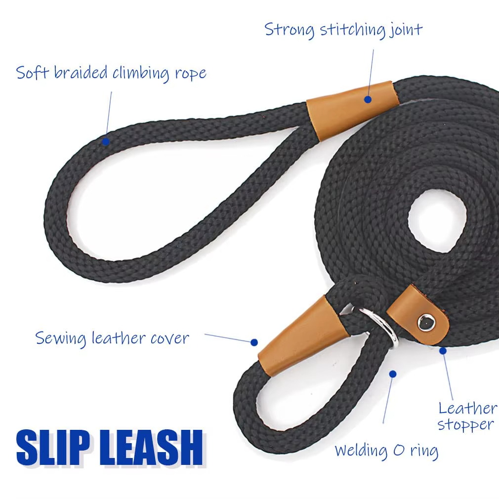 Dog Leash, Super Elastic Dog Leash, Leather Dog Leash, Braided Rope Dog Leash, High-Strength Dog Leash, Custom Dog Leash, Dog Training Leash, Luxury Pet Supplies
