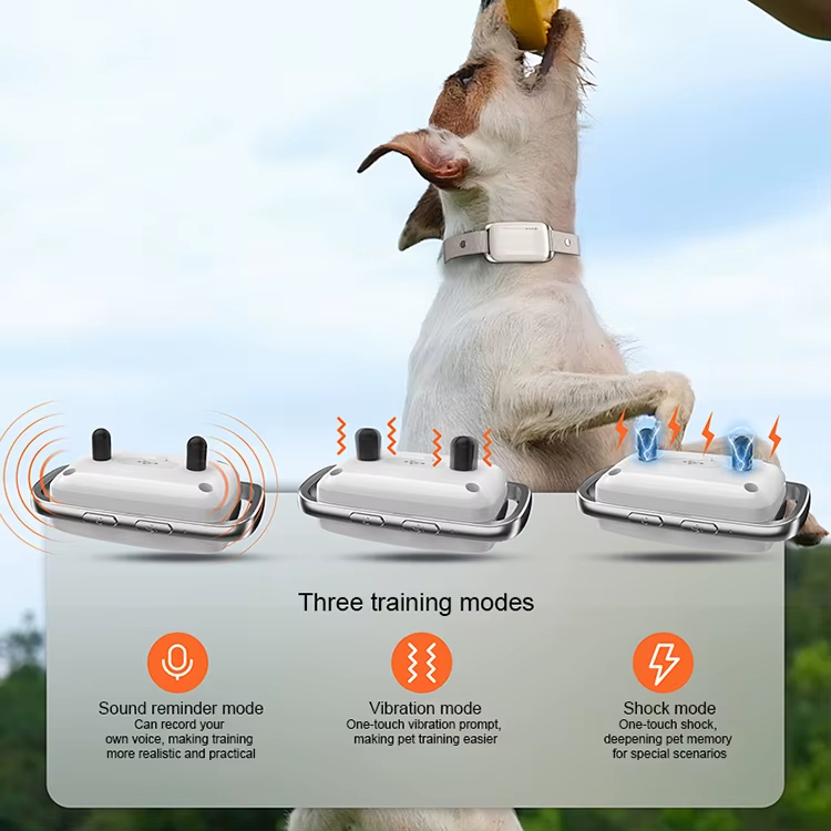 Remote Dog Collar, IP67 Waterproof Collar, Dog Training Shock Collar, Vibration Dog Collar, E-Collar for Dogs, Recordable Dog Collar, Night Safety Collar, Pet Behavior Corrector, Dog Training Tool, Pet Training