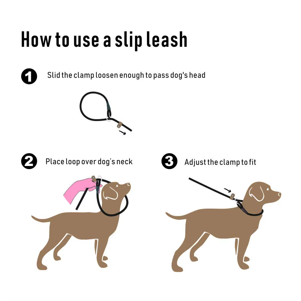 Dog Leash, Super Elastic Dog Leash, Leather Dog Leash, Braided Rope Dog Leash, High-Strength Dog Leash, Custom Dog Leash, Dog Training Leash, Luxury Pet Supplies
