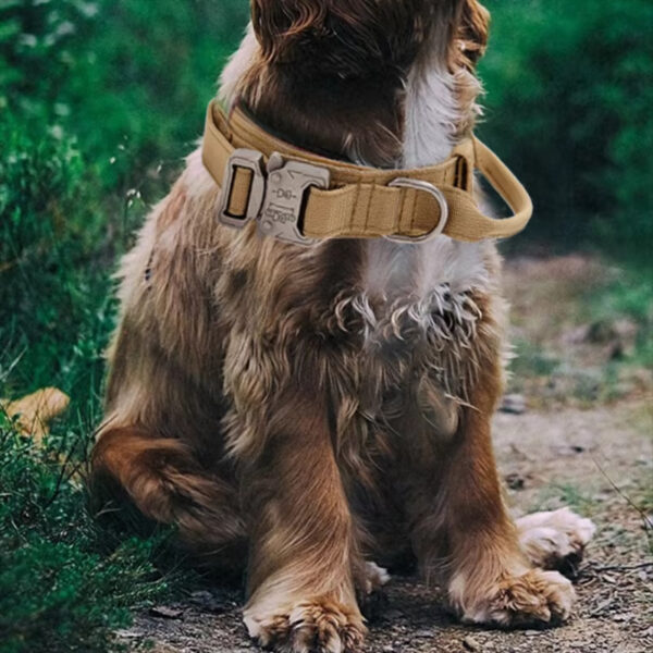 Dog Training Collar, Heavy-Duty Dog Collar, Dog Collar with Handle, Reflective Dog Collar, Nylon Dog Collar, Machine Washable Dog Collar, Small Dog Collar, Medium Dog Collar, Large Dog Collar, Outdoor Dog Collar