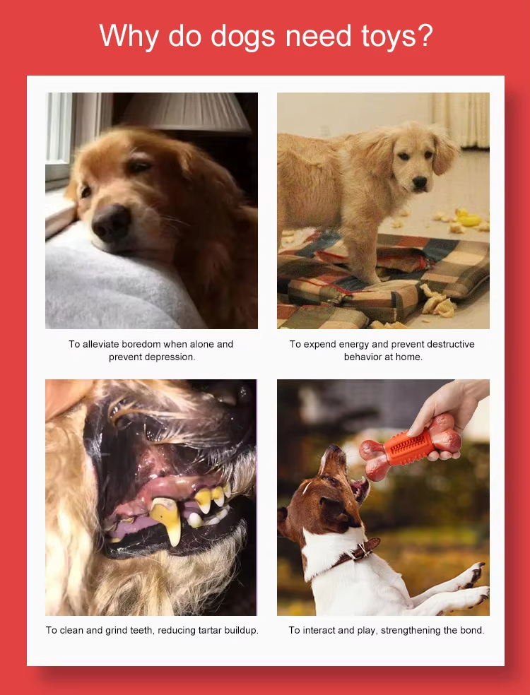 Dog Teething Bone, Bite-Resistant Toy, Dog Teeth Cleaning Toy, Natural Rubber Dog Toy, Eco-Friendly Non-toxic Pet Toy, Pet Puzzle Toy, Treat Dispensing Ball

