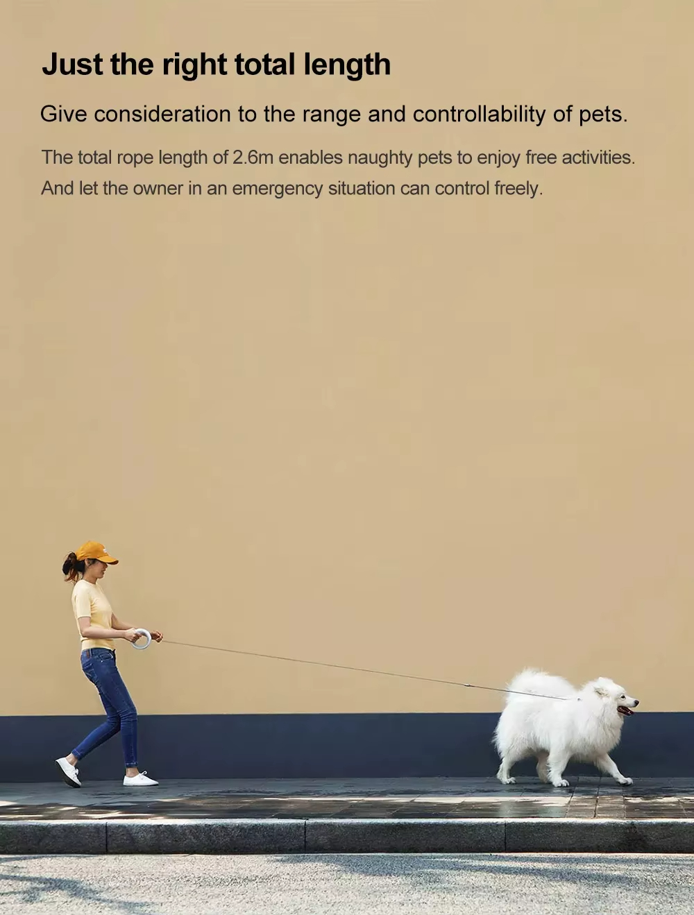 LED Luminous Dog Leash, Moestar V 2.0 Dog Leash, Night Safety Dog Leash, Super Elastic Leash, Ring Handle Dog Leash, Dog Leash, Tangle-Free Dog Leash, Pet Leash, Dog Training Leash, Automatic Retractable Leash