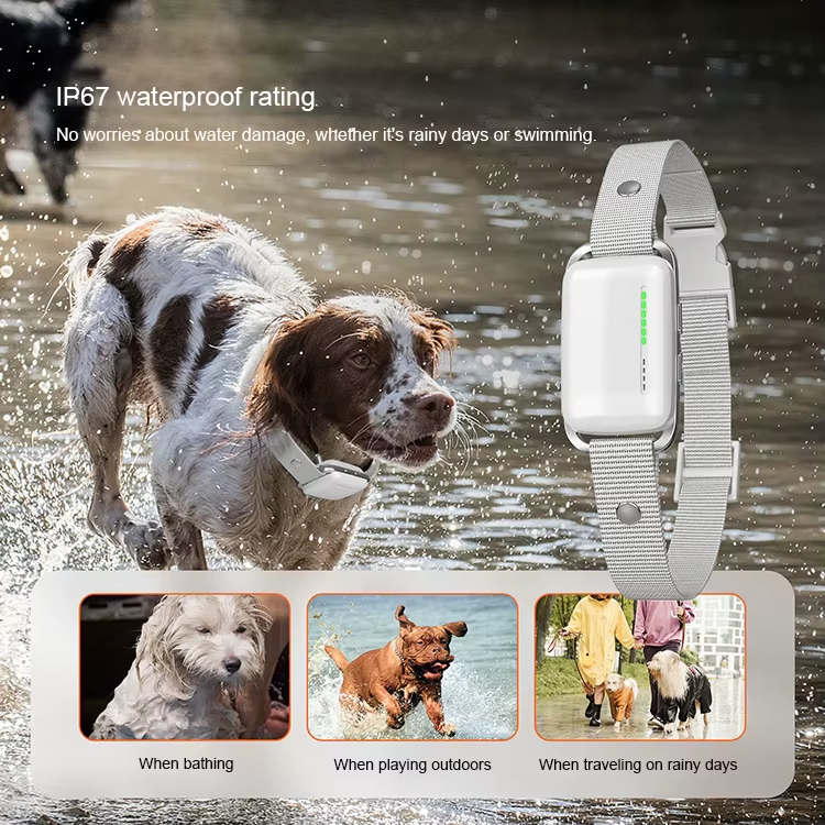 Remote Dog Collar, IP67 Waterproof Collar, Dog Training Shock Collar, Vibration Dog Collar, E-Collar for Dogs, Recordable Dog Collar, Night Safety Collar, Pet Behavior Corrector, Dog Training Tool, Pet Training