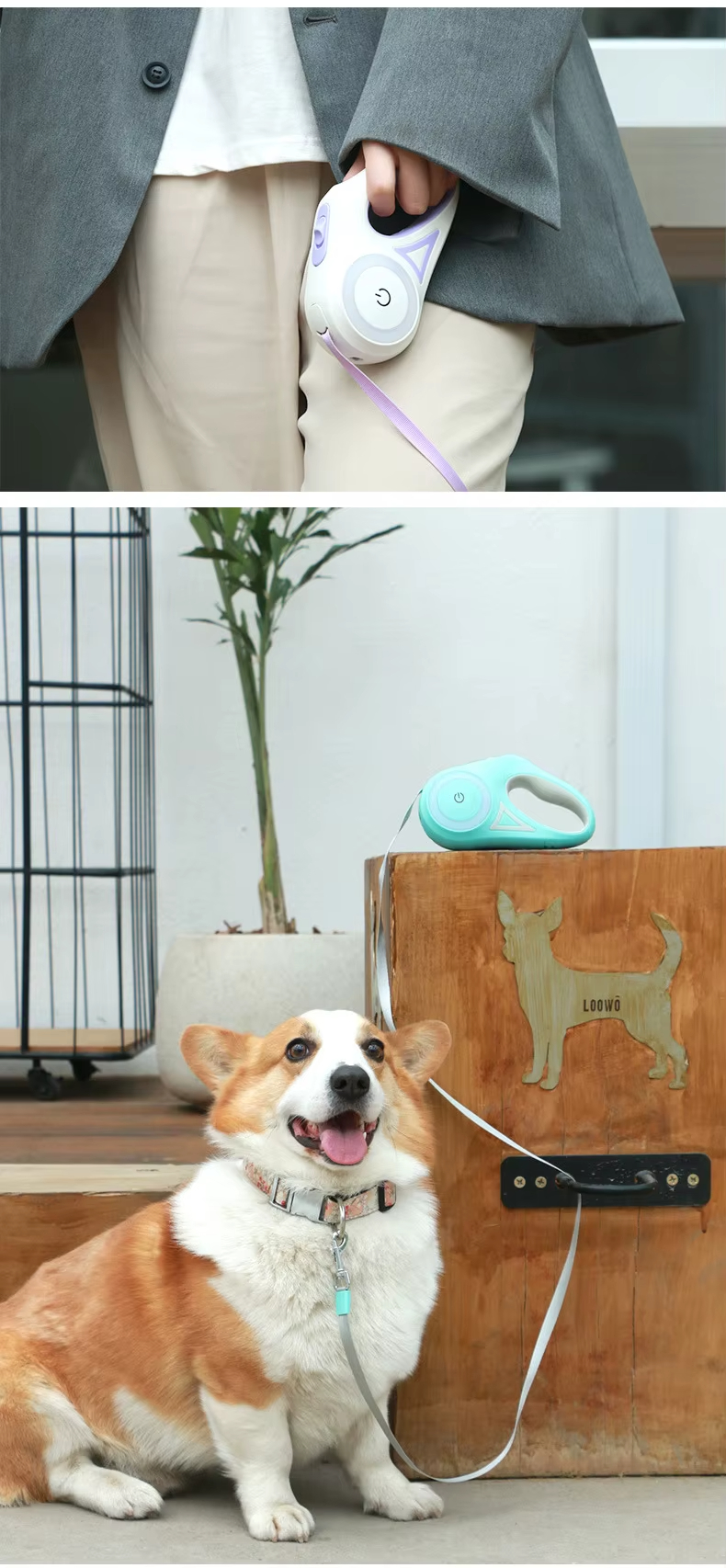 Dog Leash, LED Light Dog Leash, Night Safety Dog Leash, Automatic Retractable Dog Leash, Tangle-Free Dog Leash, High-Strength Anti-Bite Rope, Pet Training Leash, RGB Light Dog Leash, Touch Control Dog Leash, Precision Bearing Dog Leash 
