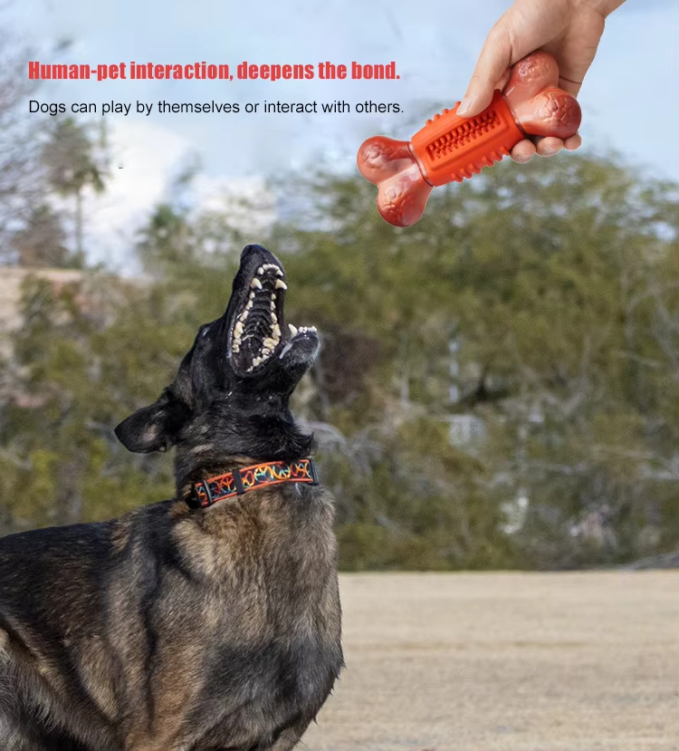 Dog Teething Bone, Bite-Resistant Toy, Dog Teeth Cleaning Toy, Natural Rubber Dog Toy, Eco-Friendly Non-toxic Pet Toy, Pet Puzzle Toy, Treat Dispensing Ball

