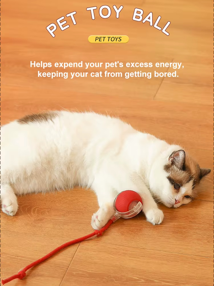 Automatic Cat Toy, Rechargeable Cat Toy, Cat Toy Ball, Food-Grade Silicone Toy, Bite-Resistant Toy, Multi-Mode Cat Toy, Fun Cat Toy, Safe Cat Toy, Type-C Charging
