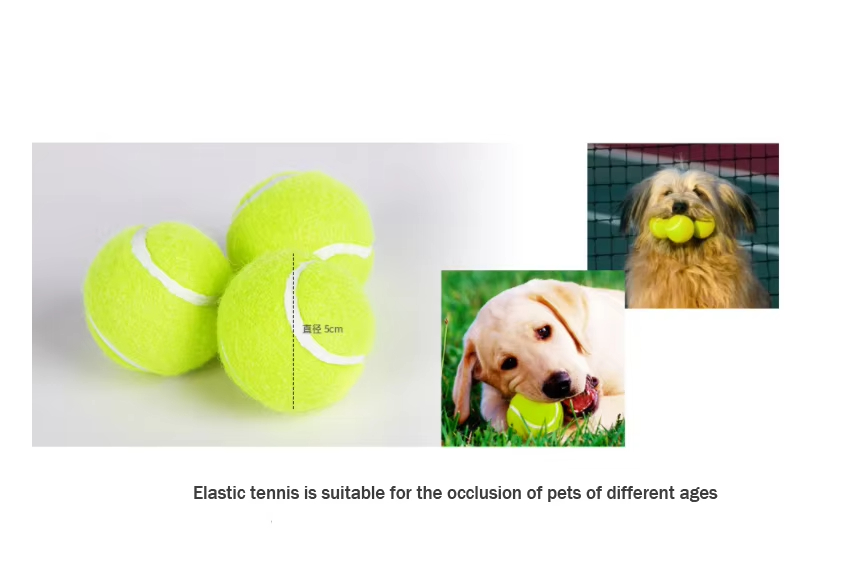 Dog Training Ball Launcher, Adjustable Distance Dog Toy, Fully Automatic Dog Toy, Pet Ball Launcher, Dog Training Equipment, Dog Outdoor Toy, Interactive Dog Toy, Pet Health Toy