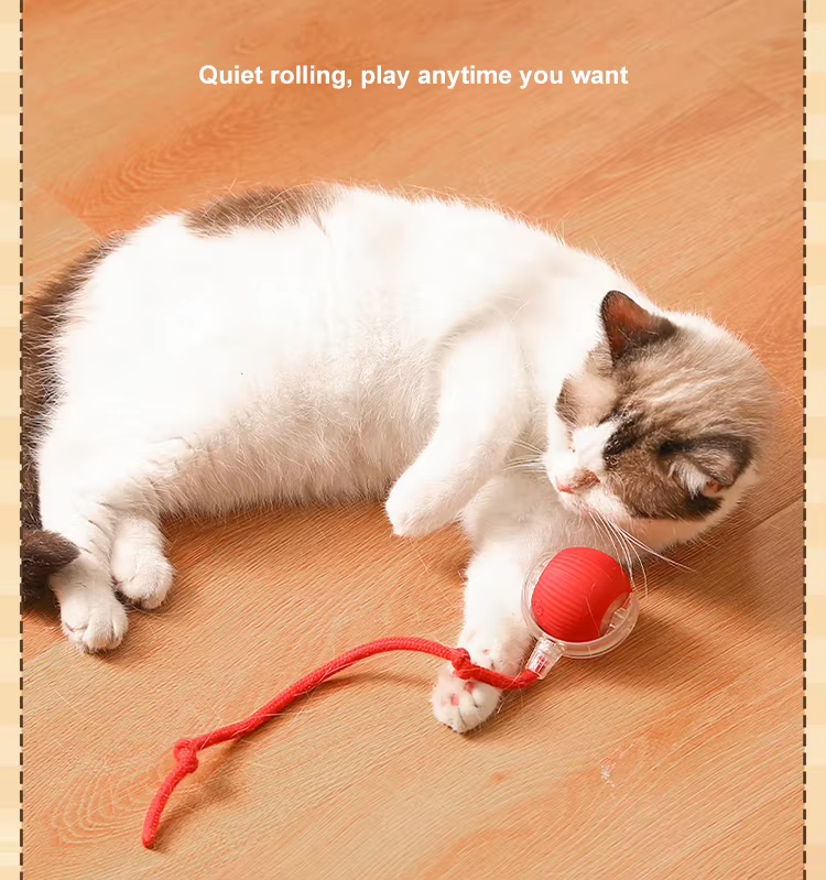 Automatic Cat Toy, Rechargeable Cat Toy, Cat Toy Ball, Food-Grade Silicone Toy, Bite-Resistant Toy, Multi-Mode Cat Toy, Fun Cat Toy, Safe Cat Toy, Type-C Charging