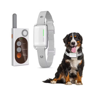 Remote Dog Collar, IP67 Waterproof Collar, Dog Training Shock Collar, Vibration Dog Collar, E-Collar for Dogs, Recordable Dog Collar, Night Safety Collar, Pet Behavior Corrector, Dog Training Tool, Pet Training