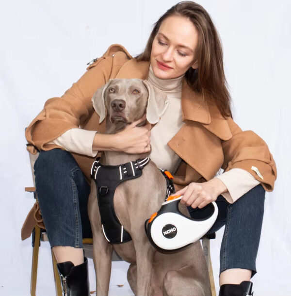 Retractable Dog Leash - 360° Tangle-Free, D-LOCK System, IP67 Waterproof, Customizable - Image 2
