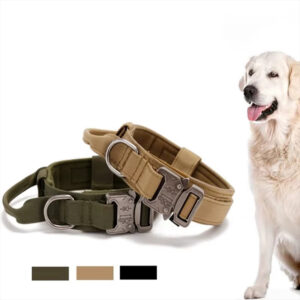 Dog Training Collar, Heavy-Duty Dog Collar, Dog Collar with Handle, Reflective Dog Collar, Nylon Dog Collar, Machine Washable Dog Collar, Small Dog Collar, Medium Dog Collar, Large Dog Collar, Outdoor Dog Collar