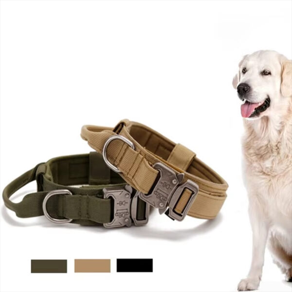 Dog Training Collar, Heavy-Duty Dog Collar, Dog Collar with Handle, Reflective Dog Collar, Nylon Dog Collar, Machine Washable Dog Collar, Small Dog Collar, Medium Dog Collar, Large Dog Collar, Outdoor Dog Collar