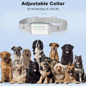 Dog Training Collar: 1000m Remote, IP67 Waterproof, 3 Training Modes (Sound/Vibration/Shock), Exclusive 60s Recording