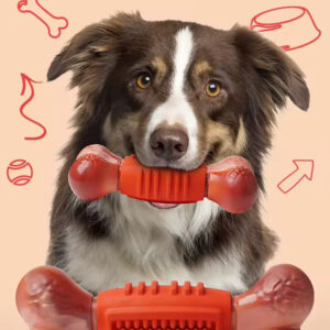 Pet Chew Toy: Bite-Resistant Bone, Teeth Cleaning, Natural Rubber + Nylon, Beef Flavor, Non-toxic, Interactive