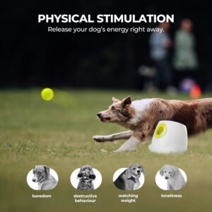 Automatic Dog Ball Launcher: 3-Level Adjustable Distance (10/25/40ft), Fully Automatic, Rechargeable, Promotes Physical & Mental Health, Training, Interactive