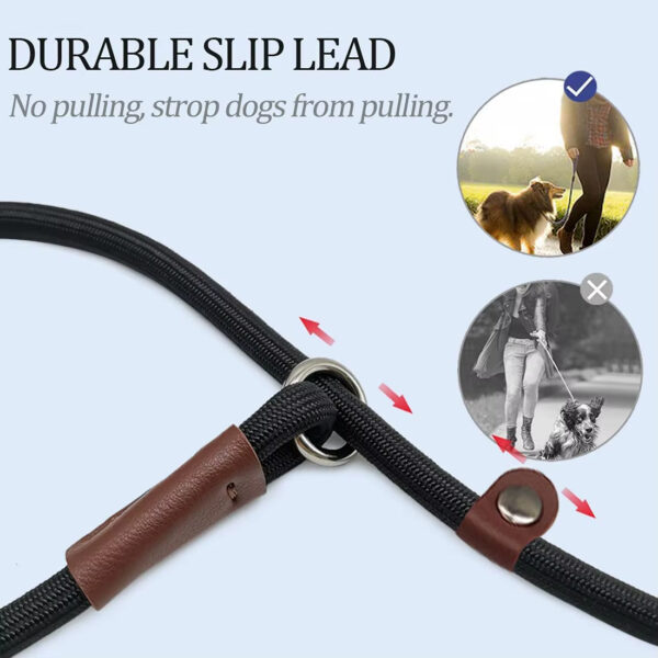 Dog Leash, Super Elastic Dog Leash, Leather Dog Leash, Braided Rope Dog Leash, High-Strength Dog Leash, Custom Dog Leash, Dog Training Leash, Luxury Pet Supplies