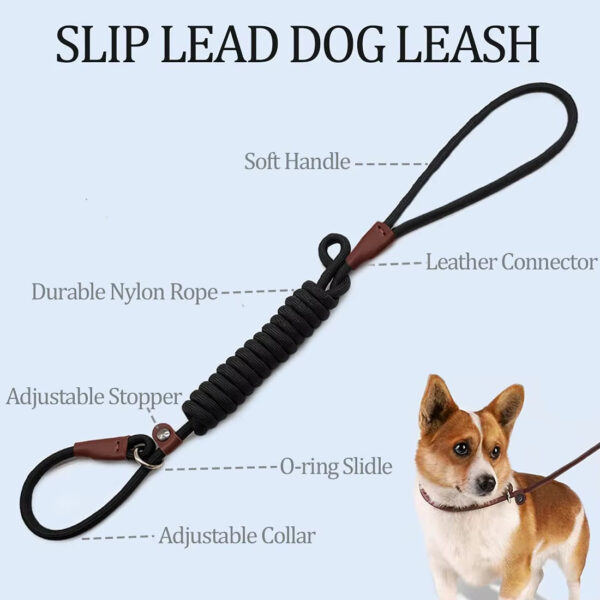 Dog Leash, Super Elastic Dog Leash, Leather Dog Leash, Braided Rope Dog Leash, High-Strength Dog Leash, Custom Dog Leash, Dog Training Leash, Luxury Pet Supplies