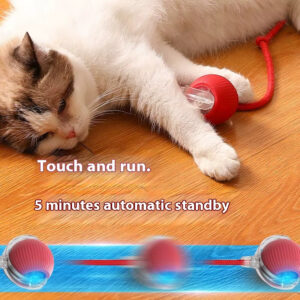 Smart Interactive Cat Toy: Fully Automatic, Rechargeable, Multi-Mode, Type-C Interface, Food-Grade Silicone, Bite-Resistant
