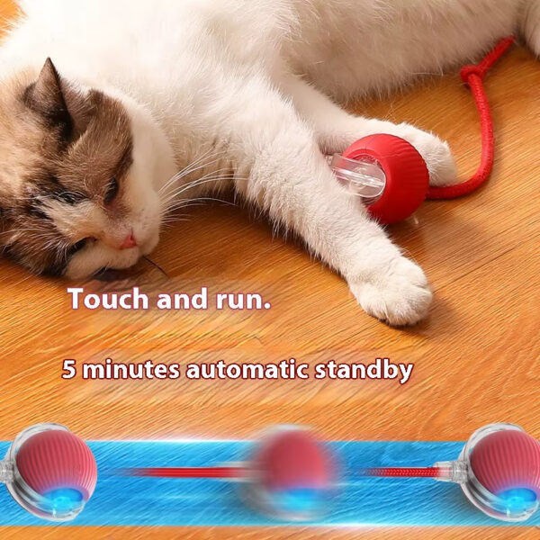 Automatic Cat Toy, Rechargeable Cat Toy, Cat Toy Ball, Food-Grade Silicone Toy, Bite-Resistant Toy, Multi-Mode Cat Toy, Fun Cat Toy, Safe Cat Toy, Type-C Charging