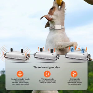 Dog Training Collar: 1000m Remote, IP67 Waterproof, 3 Training Modes (Sound/Vibration/Shock), Exclusive 60s Recording