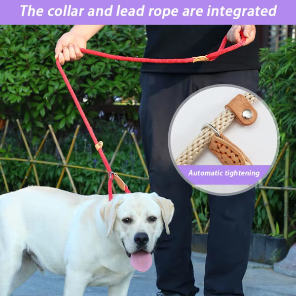 Dog Leash, Super Elastic Dog Leash, Leather Dog Leash, Braided Rope Dog Leash, High-Strength Dog Leash, Custom Dog Leash, Dog Training Leash, Luxury Pet Supplies