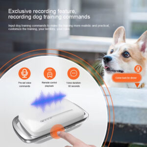 Dog Training Collar: 1000m Remote, IP67 Waterproof, 3 Training Modes (Sound/Vibration/Shock), Exclusive 60s Recording