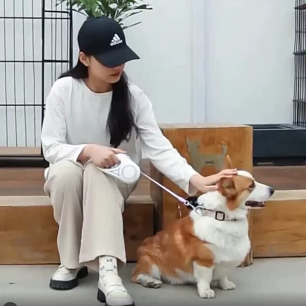 Dog Leash, LED Light Dog Leash, Night Safety Dog Leash, Automatic Retractable Dog Leash, Tangle-Free Dog Leash, High-Strength Anti-Bite Rope, Pet Training Leash, RGB Light Dog Leash, Touch Control Dog Leash, Precision Bearing Dog Leash