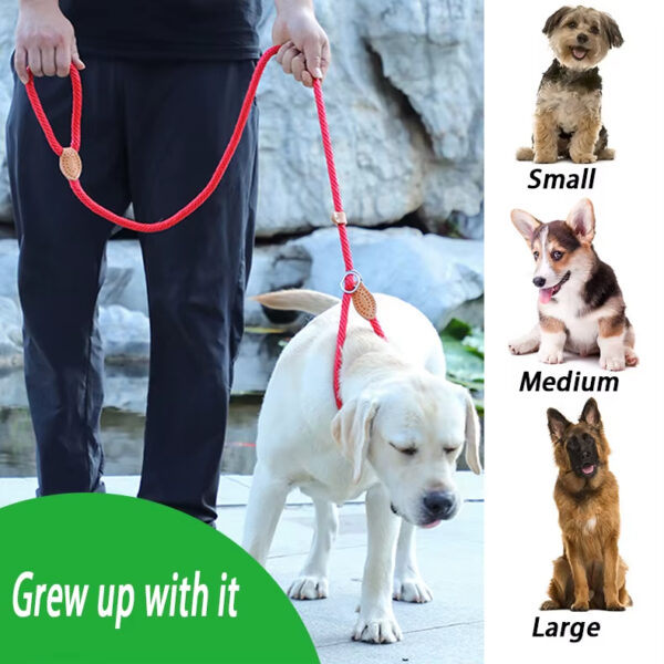 Dog Leash, Super Elastic Dog Leash, Leather Dog Leash, Braided Rope Dog Leash, High-Strength Dog Leash, Custom Dog Leash, Dog Training Leash, Luxury Pet Supplies