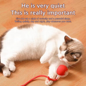 Smart Interactive Cat Toy: Fully Automatic, Rechargeable, Multi-Mode, Type-C Interface, Food-Grade Silicone, Bite-Resistant